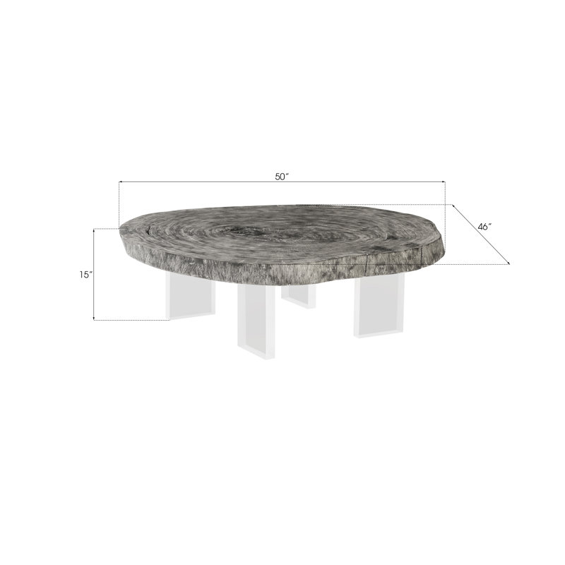 Phillips Collection Coffee Table | Perigold